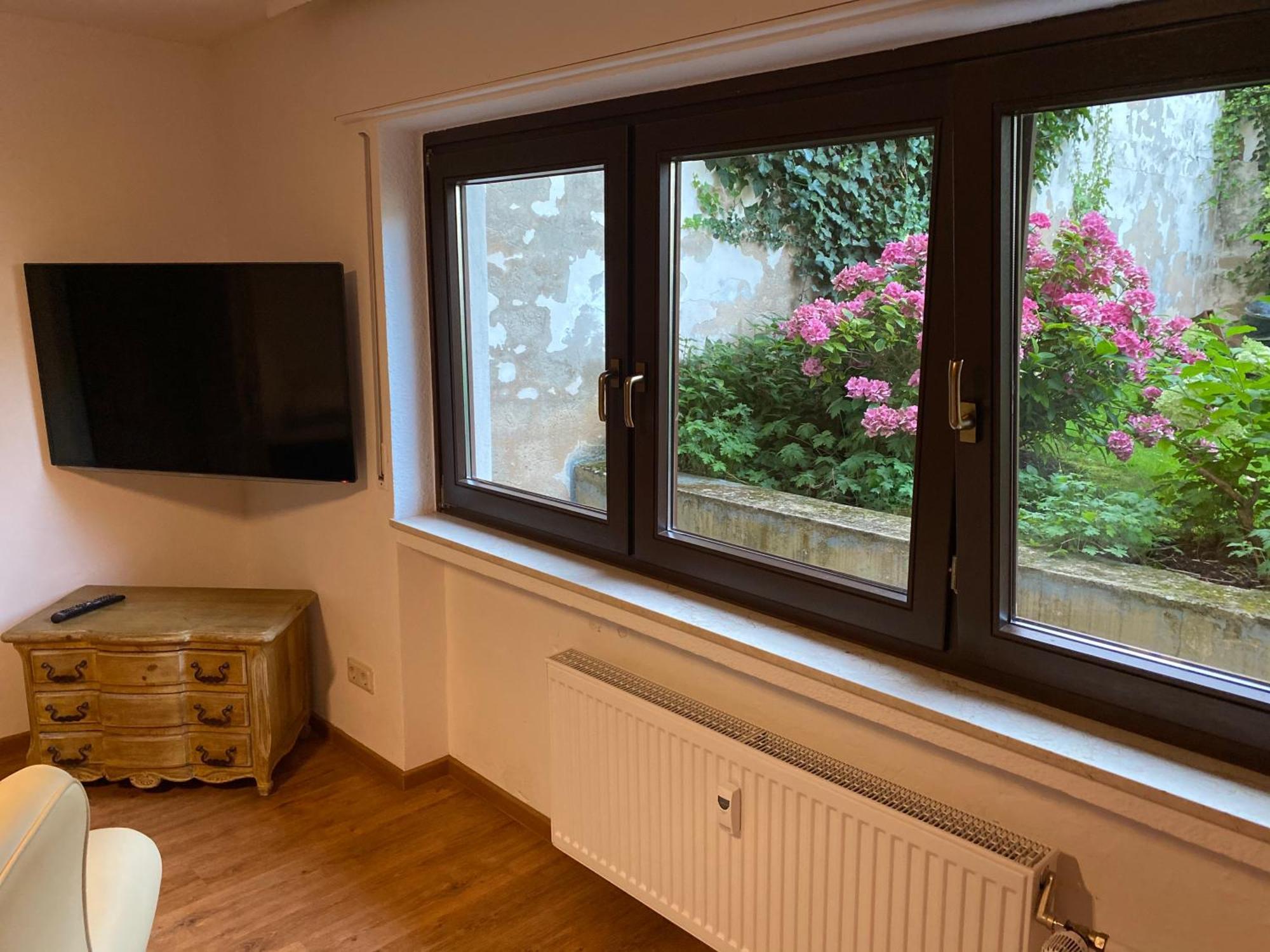 Apartmenthaus Eurenerstrasse 179 トリーア エクステリア 写真