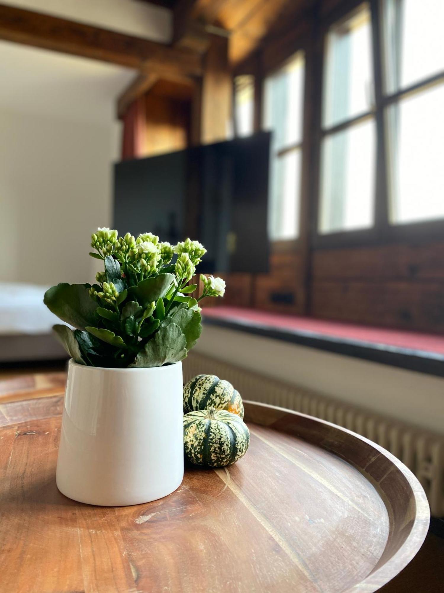 Apartmenthaus Eurenerstrasse 179 トリーア エクステリア 写真