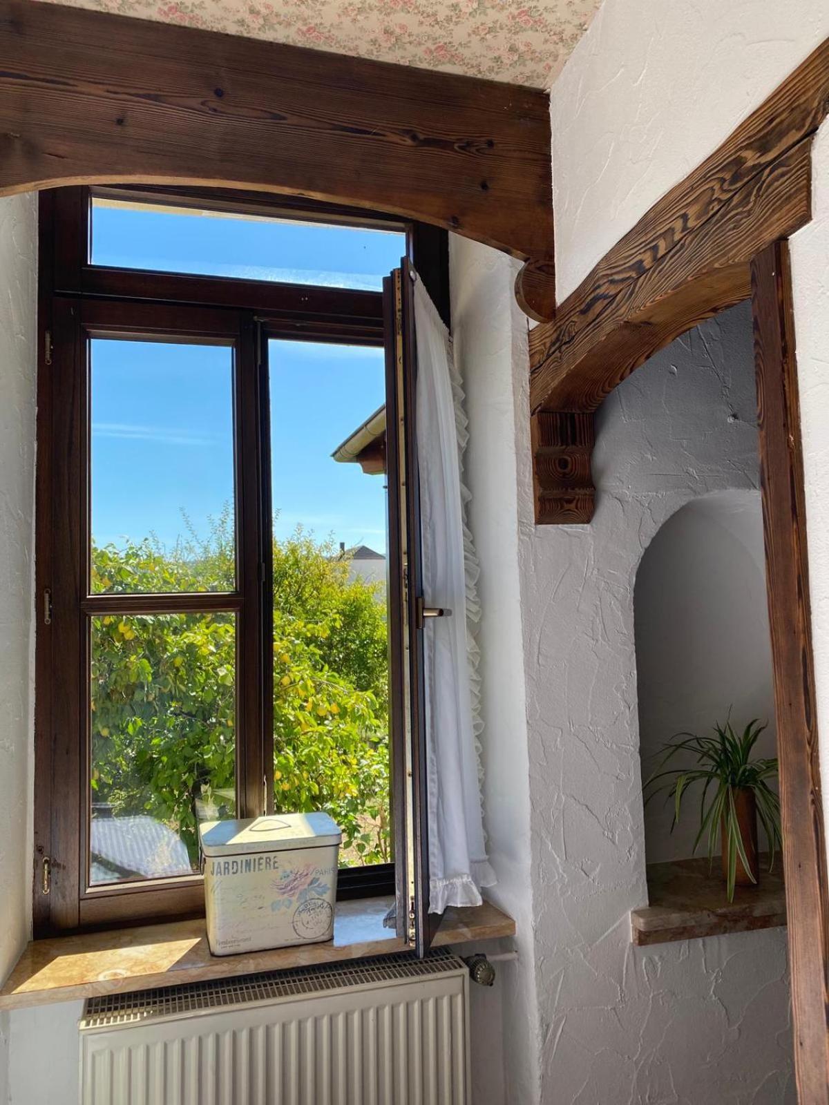Apartmenthaus Eurenerstrasse 179 トリーア エクステリア 写真