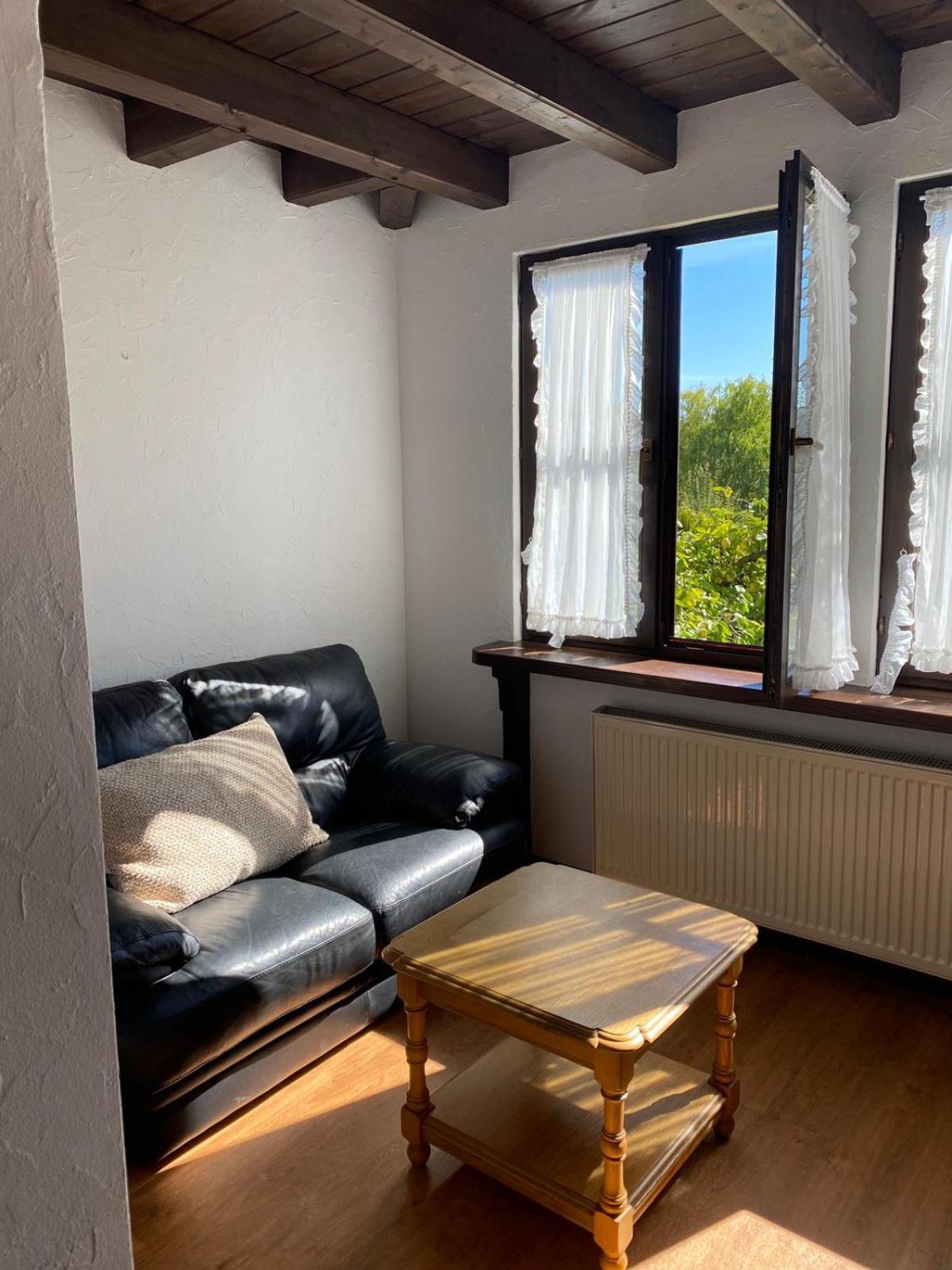 Apartmenthaus Eurenerstrasse 179 トリーア エクステリア 写真